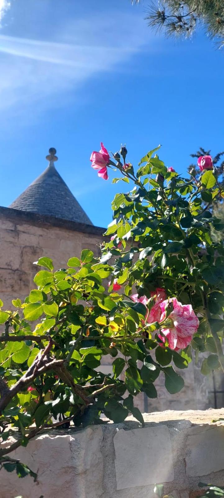 Cozzana Il Trullo Delle Rose, Monopoli By Il Pumo Di Puglia 빌라 외부 사진